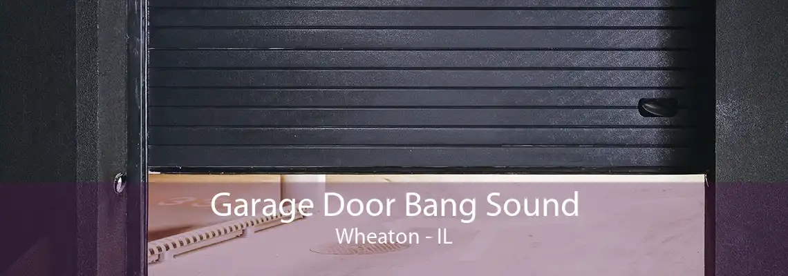 Garage Door Bang Sound Wheaton - IL