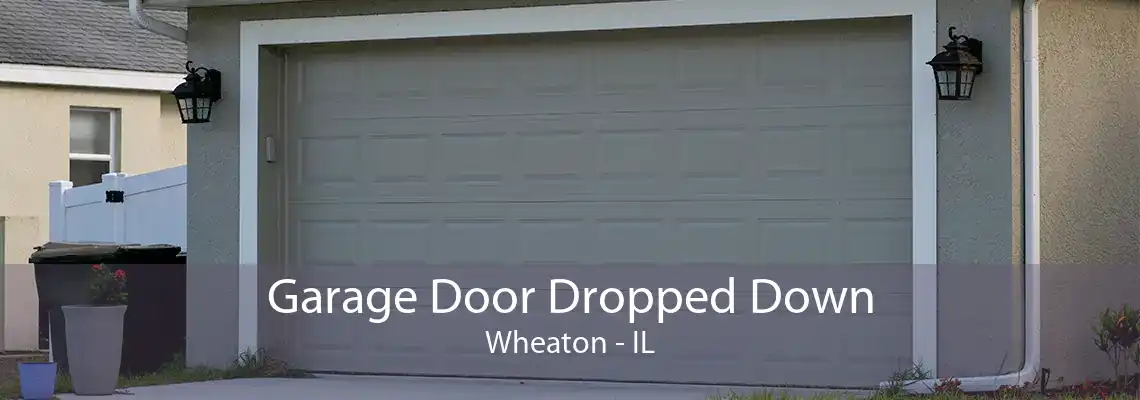 Garage Door Dropped Down Wheaton - IL