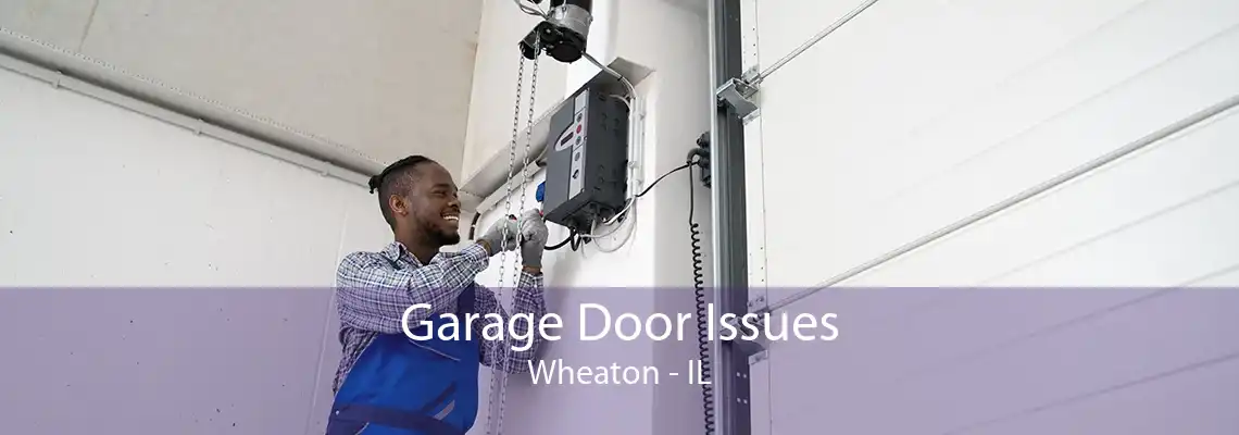 Garage Door Issues Wheaton - IL