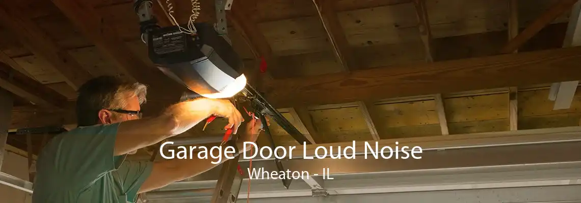 Garage Door Loud Noise Wheaton - IL