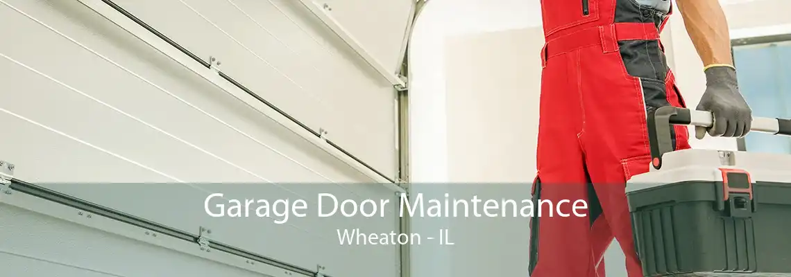 Garage Door Maintenance Wheaton - IL