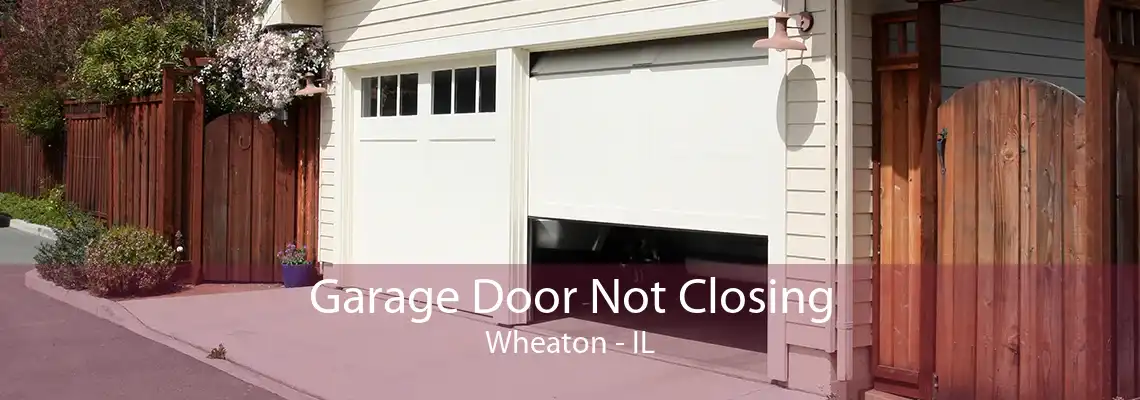 Garage Door Not Closing Wheaton - IL