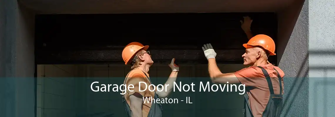 Garage Door Not Moving Wheaton - IL