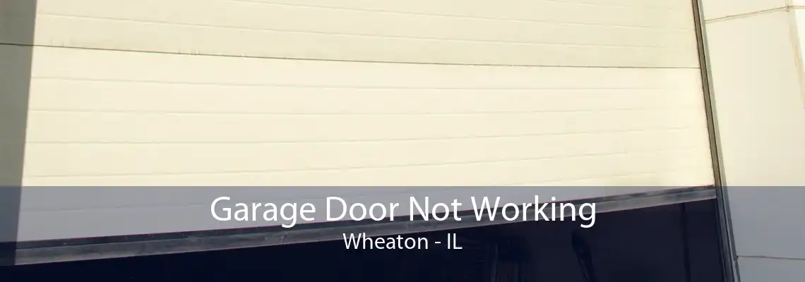 Garage Door Not Working Wheaton - IL