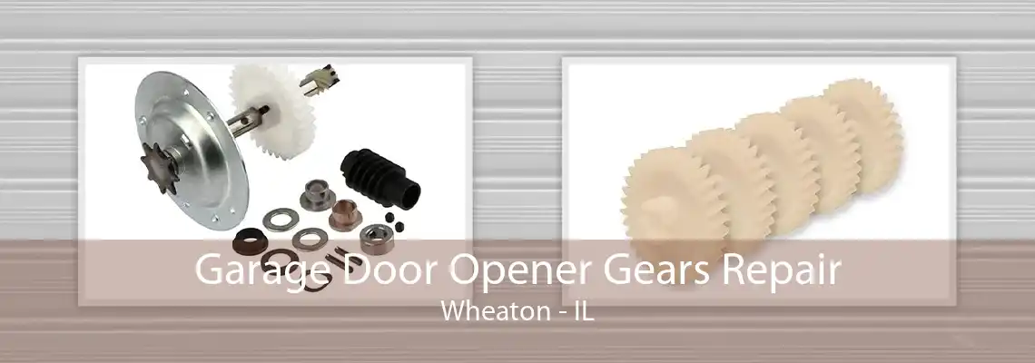 Garage Door Opener Gears Repair Wheaton - IL