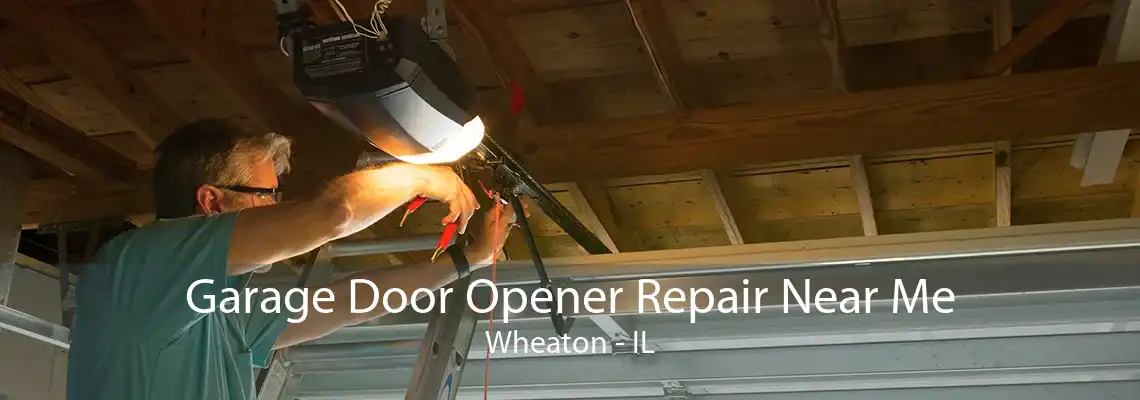 Garage Door Opener Repair Near Me Wheaton - IL