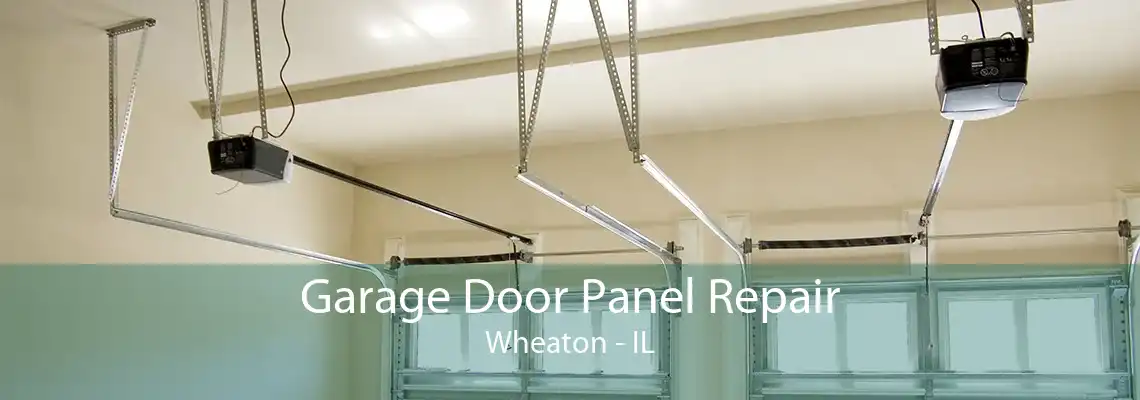 Garage Door Panel Repair Wheaton - IL