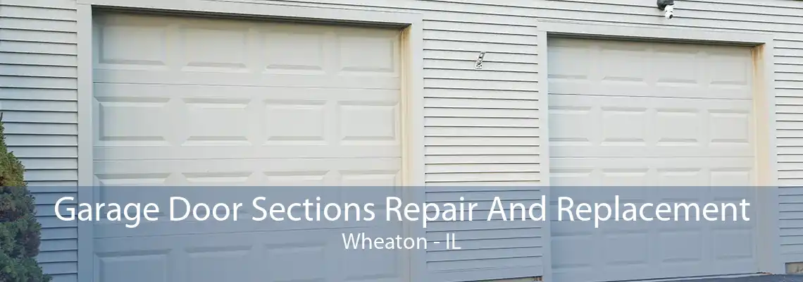 Garage Door Sections Repair And Replacement Wheaton - IL