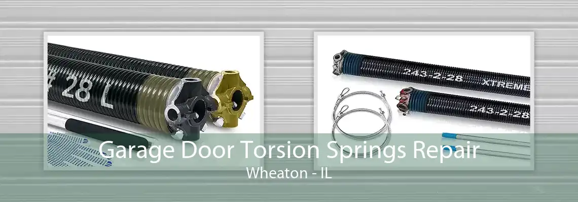 Garage Door Torsion Springs Repair Wheaton - IL