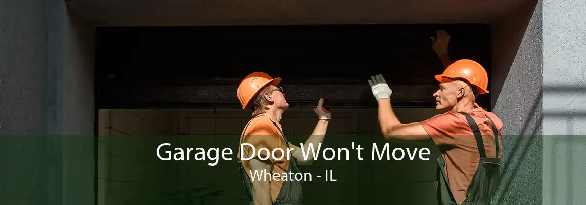 Garage Door Won't Move Wheaton - IL