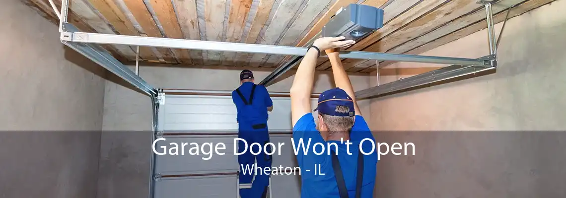 Garage Door Won't Open Wheaton - IL