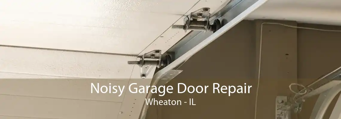 Noisy Garage Door Repair Wheaton - IL