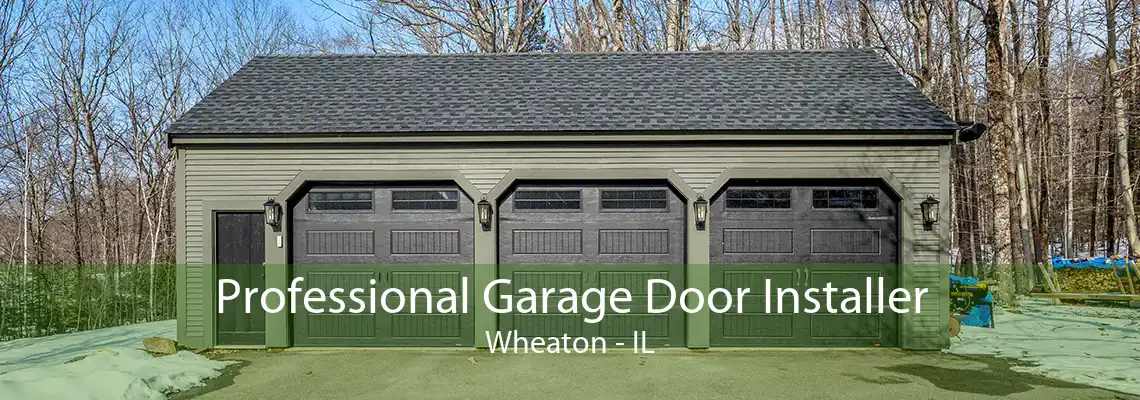 Professional Garage Door Installer Wheaton - IL