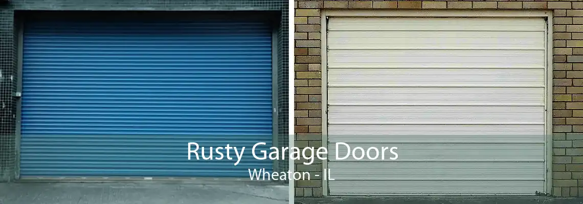 Rusty Garage Doors Wheaton - IL